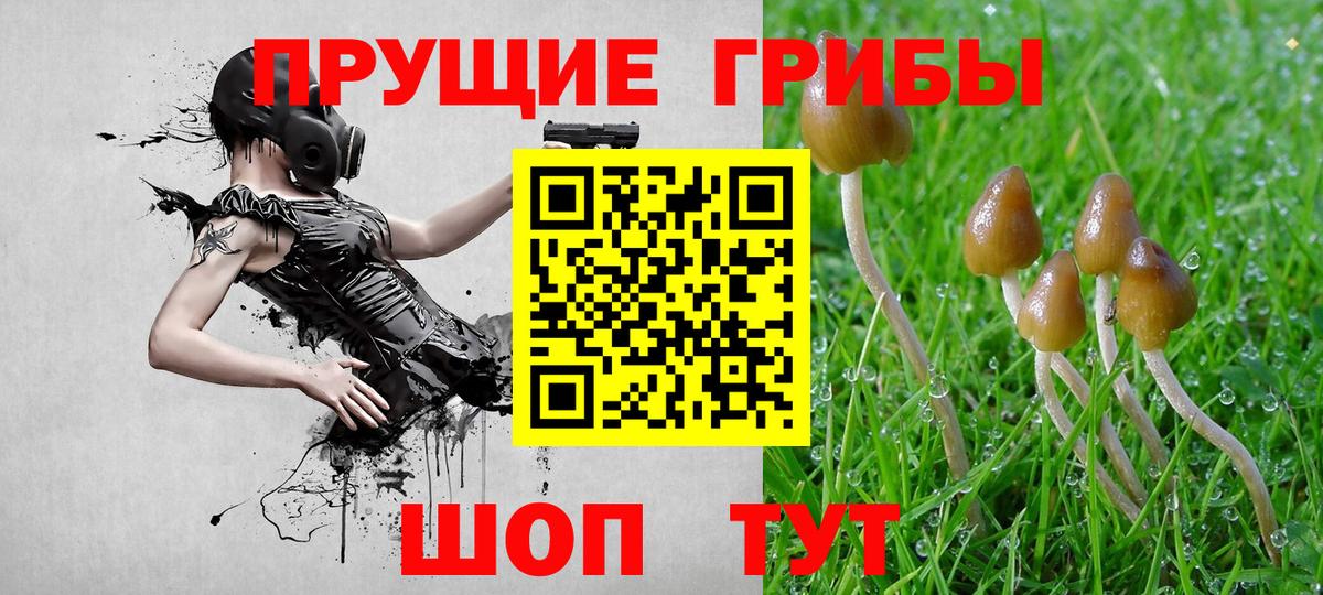 Галлюциногенные грибы GOLDEN TEACHER Волжский