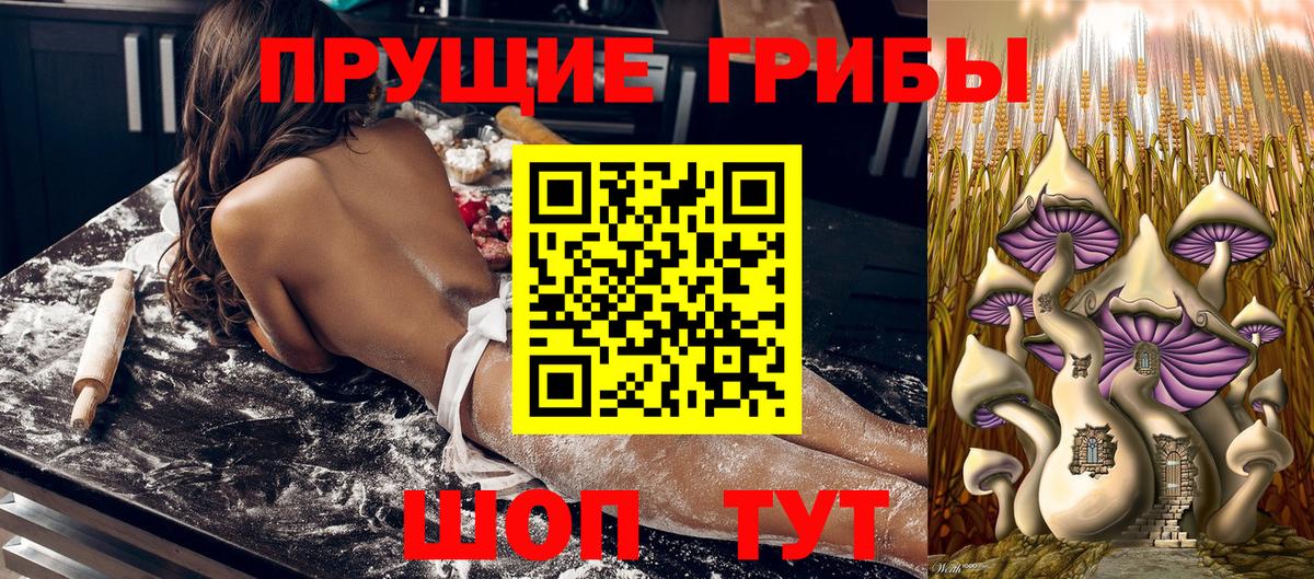 продажа наркотиков  Вход с VPN  Волжский  Галлюциногенные грибы Psilocybe 